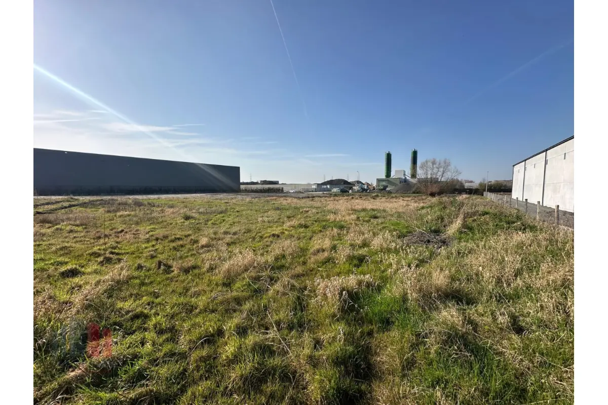 Handelszaak te  koop in Kluisbergen 9690 484000.00€  slaapkamers 3329.00m² - Zoekertje 713496