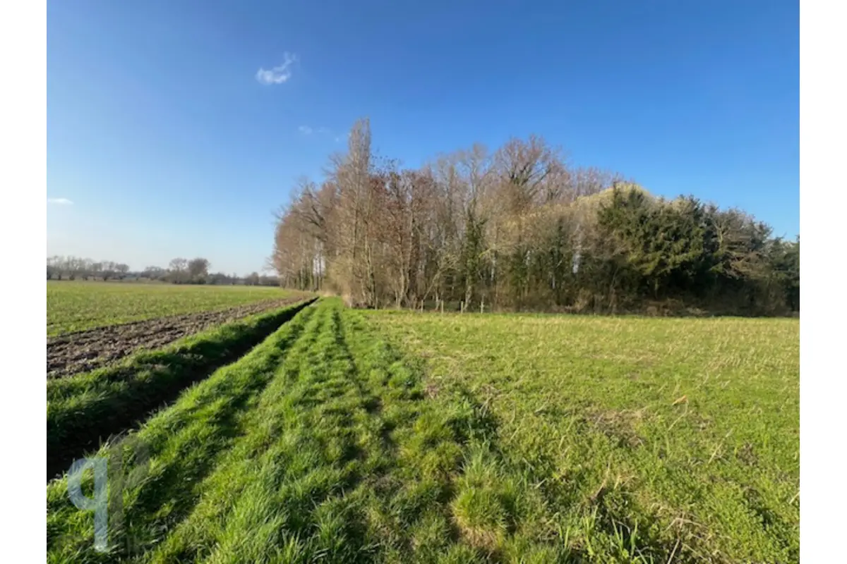 Grond te  koop in Balegem 9860 40000.00€  slaapkamers m² - Zoekertje 714561