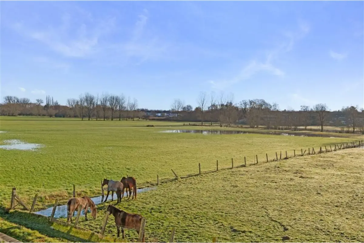 Huis te  koop in Denderleeuw 9470 299000.00€ 2 slaapkamers 120.00m² - Zoekertje 732413