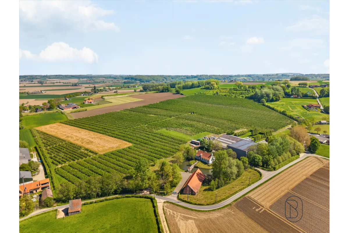 Huis te  koop in Kluisbergen 9690 3650000.00€ 6 slaapkamers 500.00m² - Zoekertje 747240