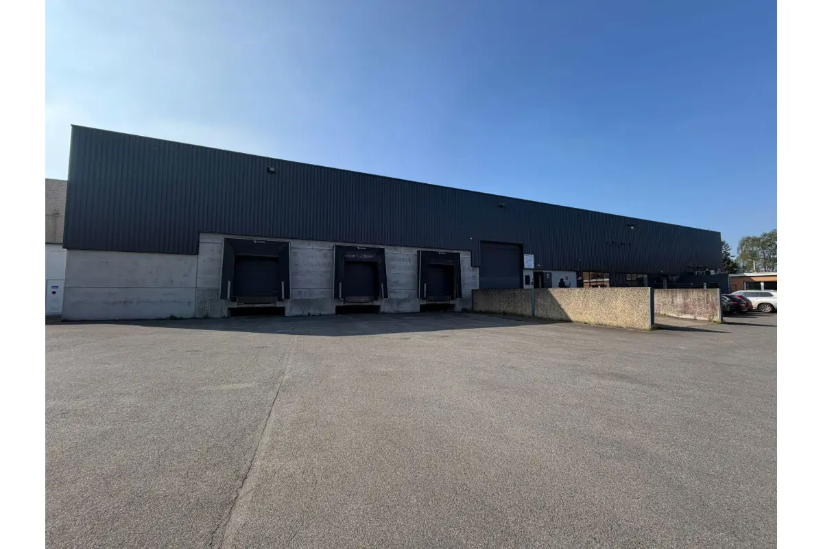 Handelszaak te  huur in Sint-Niklaas 9100 21700.00€  slaapkamers 6200.00m² - Zoekertje 751756
