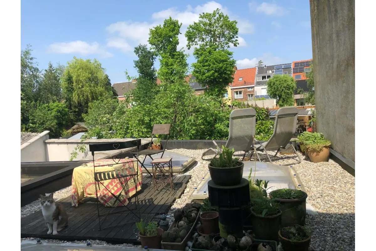 Huis te  huur in Munte 9820 995.00€  slaapkamers m² - Zoekertje 754067