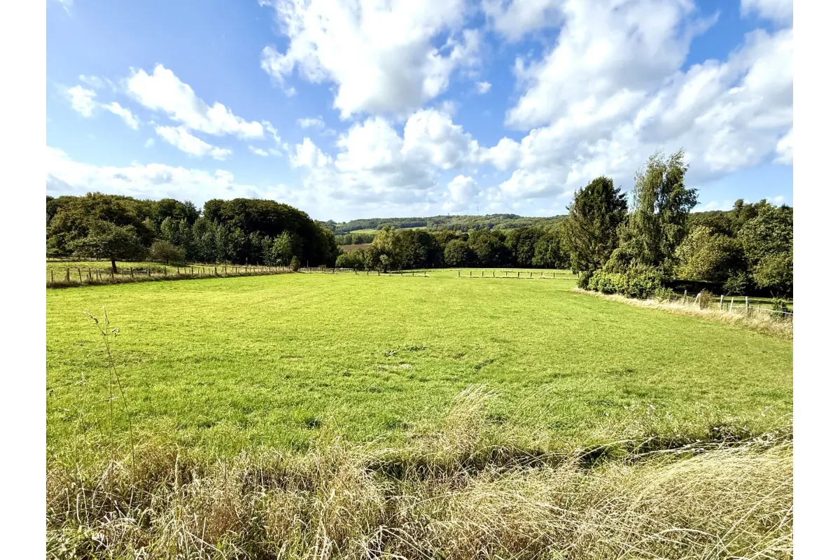 Grond te  in Vloesberg 7880 215000.00€  slaapkamers m² - Zoekertje 793589